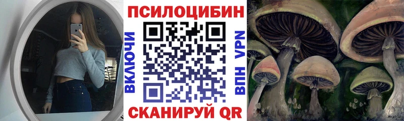 купить   Сенгилей  Псилоцибиновые грибы GOLDEN TEACHER 